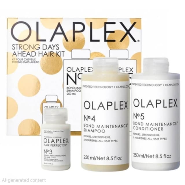 Olaplex Package at Hair By Elie Klein LLC in West Springfield, MA